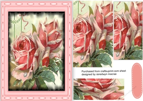 Beautiful Pink Roses in Pyramid