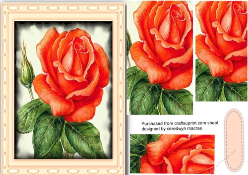 Beautiful RedRoses in Pyramid