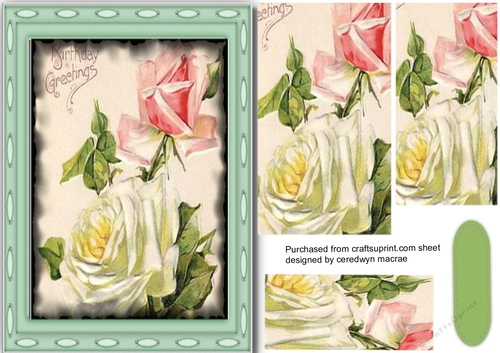 Beautiful Pink and White Roses in Pyramid
