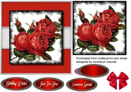 Beautiful French Red  Roses