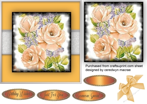 Beautiful French   Roses and Bow 