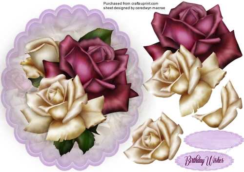Wine  and Cream Roses