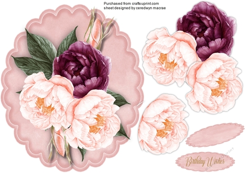 Deep Mauve and Pink Roses