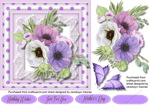 Beautiful Lilac Anemones and Polk Dot 