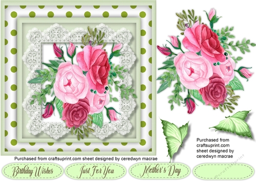 Mixed Roses and Polk Dot 