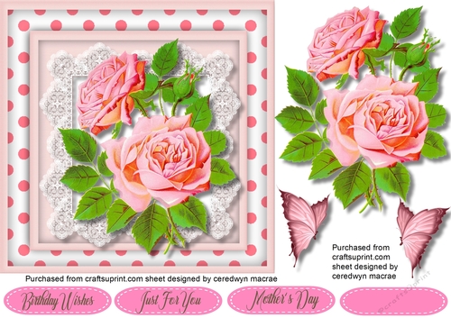 Pink  Roses and Polk Dot 