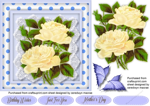 White Roses and blue  Polk Dot 