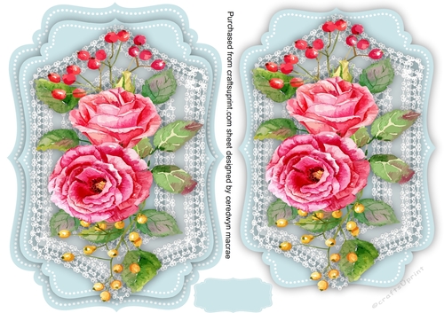 Beautiful Pink Roses on Lace 