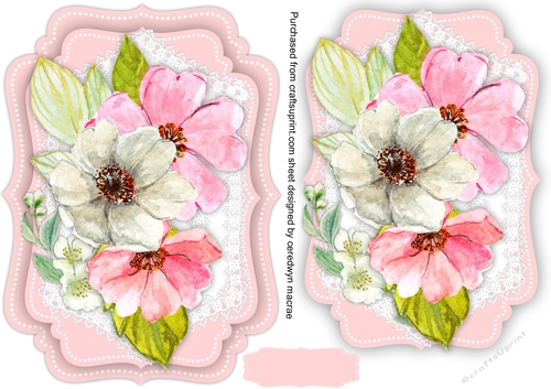 Pink Anemones  on Lace 