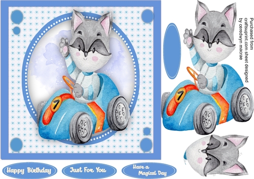 Cat In a Racing Car