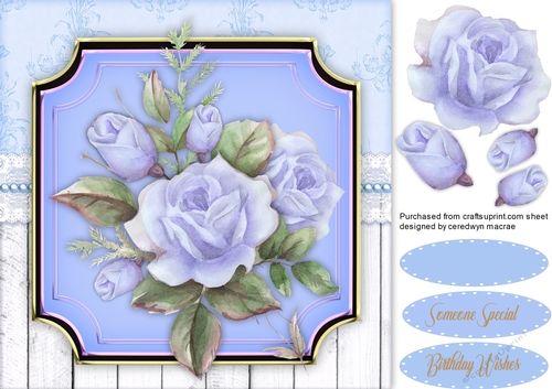 Beautiful Blue French Roses 