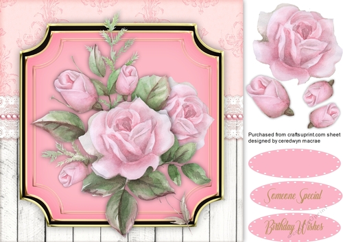 Beautiful Pink French Roses 