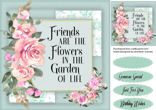The Garden of Life 1