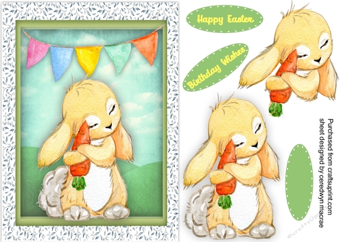 Cute Cotton Tail Bunny with Carrot 