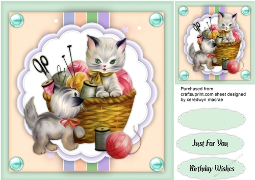 Beautiful Kitties in a Basket 