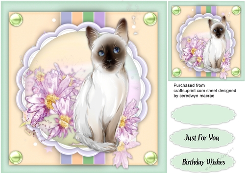 Beautiful Siamese and Lilac Flowers