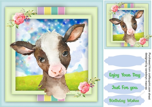 Beautiful Little Calf