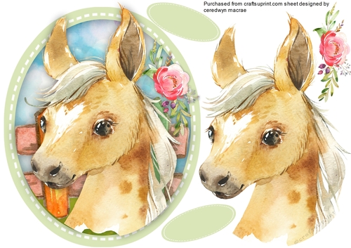 Beautiful Foal and Rose
