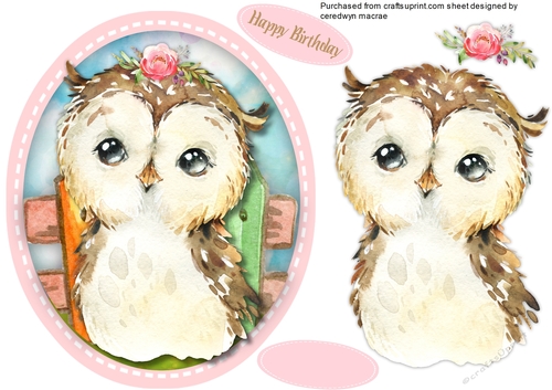 Beautiful Owl  and Rose