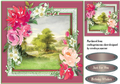Pink Roses and Jasmine 