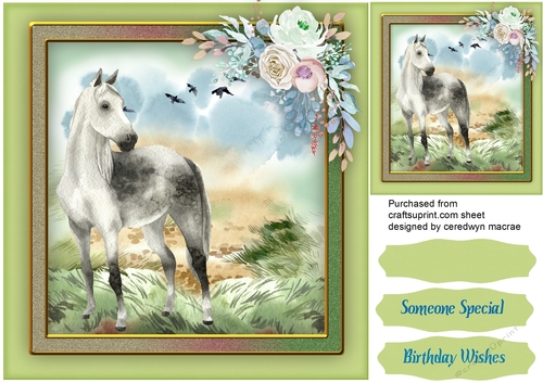 Beautiful Horse on the Moor
