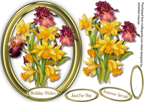Beautiful Daffs and Bearded Irises