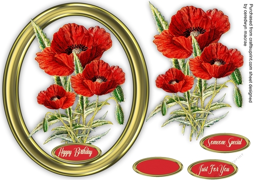 Beautiful Poppies  in a Gold Frame 