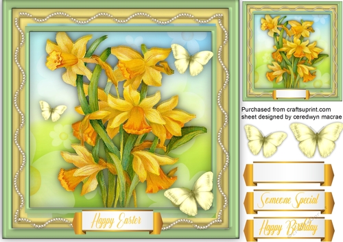 Beautiful Daffodils and Golden Butterflies 