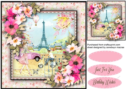 Paris in the Spring  4