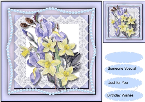 Beautiful Irises and Daffs 