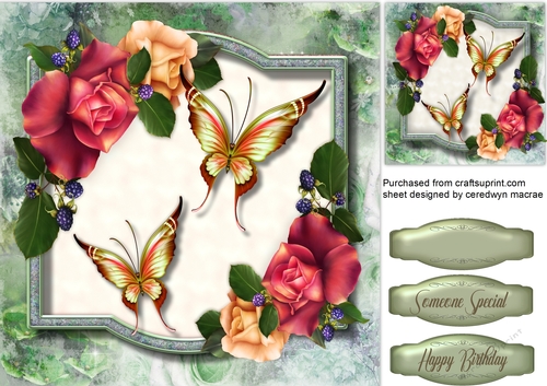 Beautiful Butterflys with Roses and Fruits
