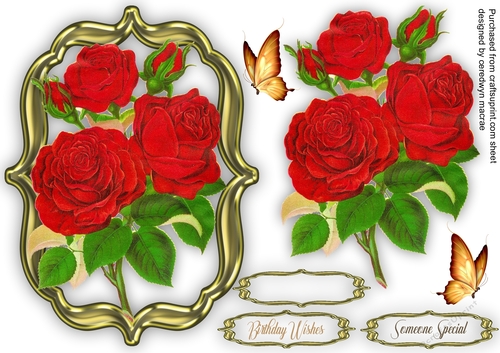 Red Roses for Love 