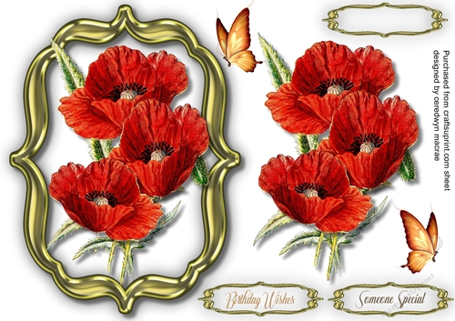 Stunning Poppies in a Gold Frame 