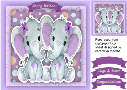Beautiful Birth or Birthday Twins