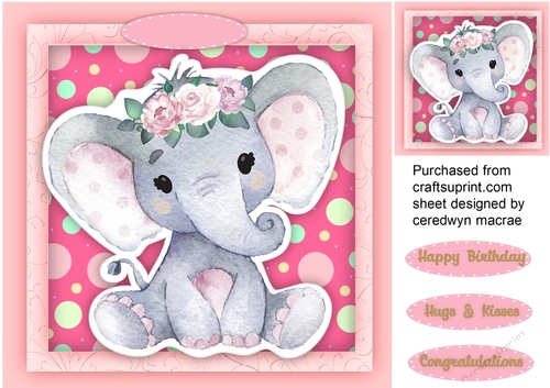 Pink Birthday Or Birth