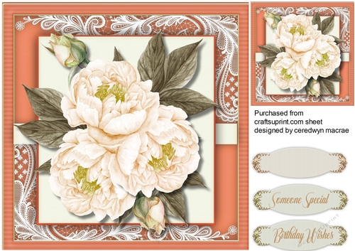 Beautiful Cream Roses 