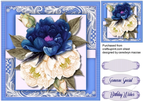 Midlight Blue  and Cream   Roses 