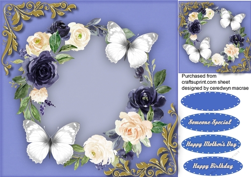 Blue  and Cream  Roses 