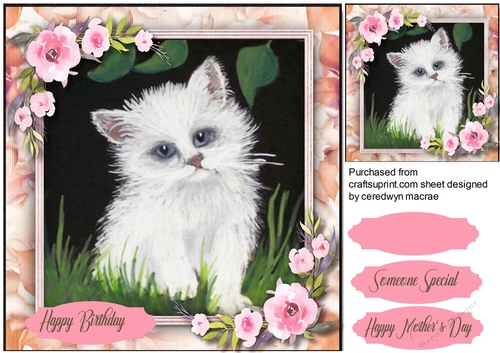 Stunning White Kitten and Pink Roses