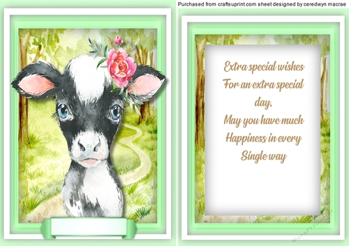 Baby Cow  , with Verse