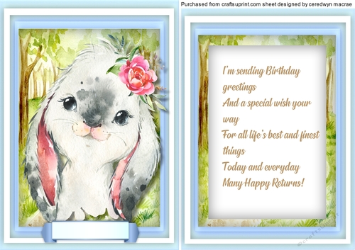 Baby Rabbit  , with Verse
