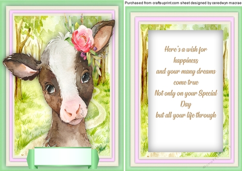 Baby Calf , With Verse 