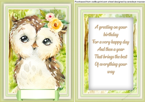 Baby Owl , With Verse 