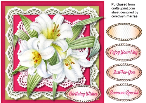 Beautiful White Lillys and Lace 