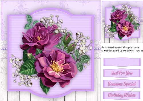 Lilac Roses and  Babys Breath
