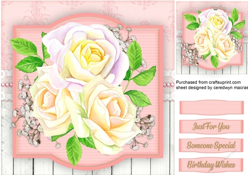 Soft Pink  Roses and  Babys Breath