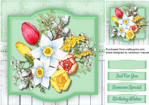 Spring Flowers  and  Babys Breath