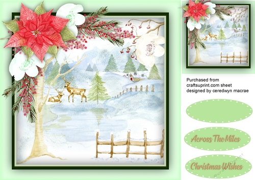 Christas Wishes 2