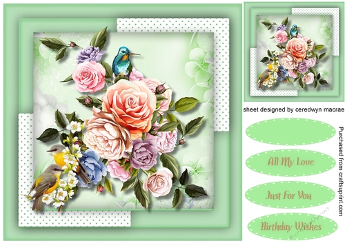 Beautiful Birds and Roses 