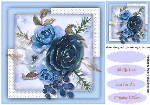 Stunning Blue Water coloured Roses
